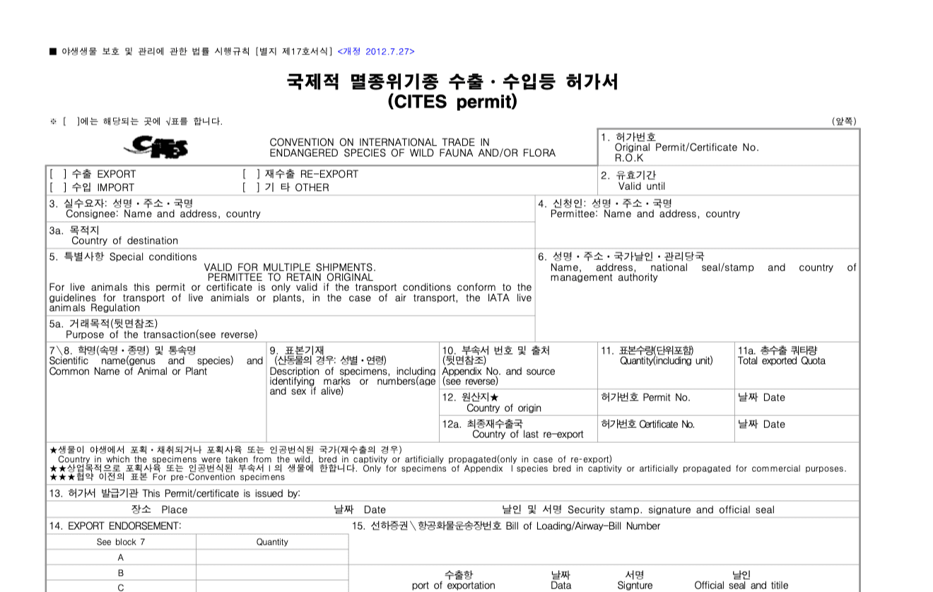 앵무새 분양 사기 피하는 법: CITES 확인부터 건강검진까지