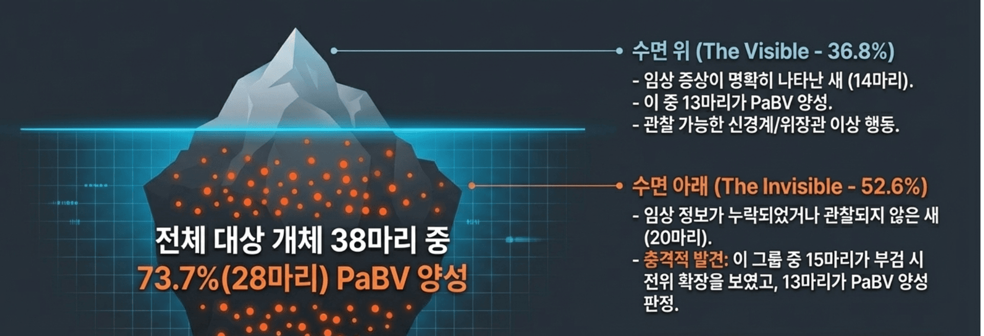 브라질 감염 조사