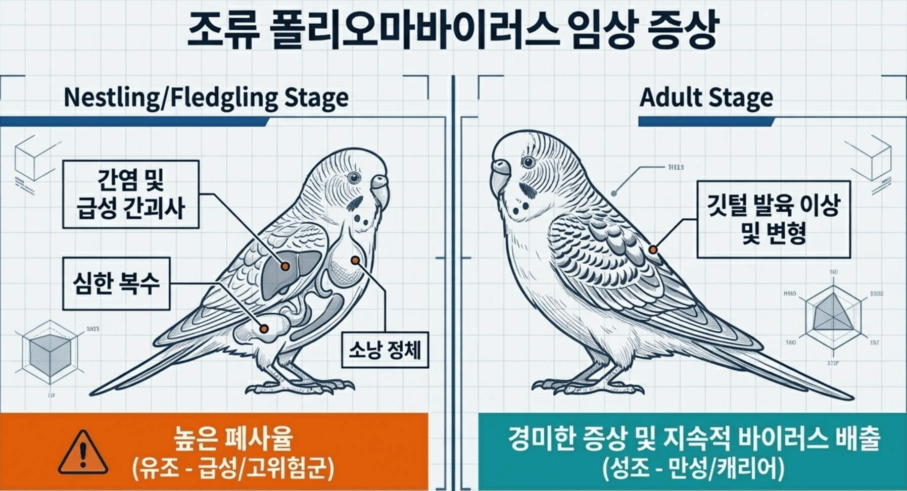 유조 성조 비교