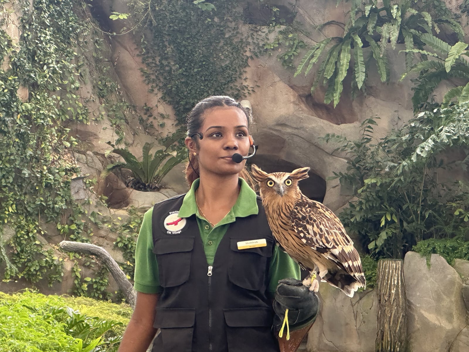 A presenter introducing a bird perched on a glove during a show